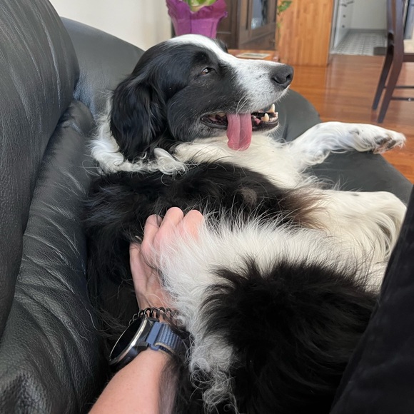 Meet your Posher, Charlotte - Picture 1 of 1